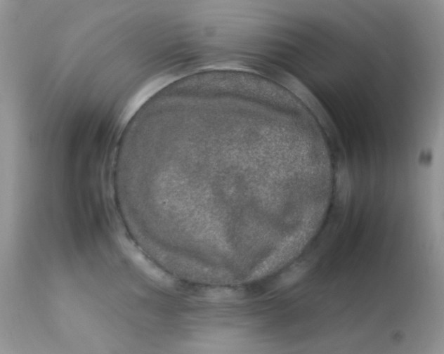 X0000113071002200909182020