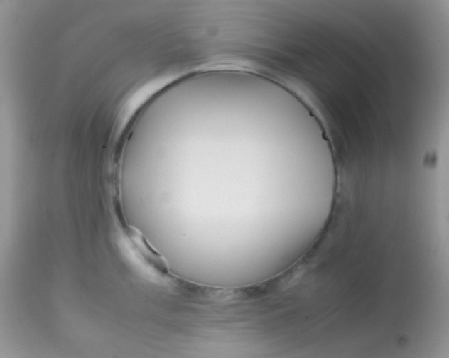 X0000113071003200909182020