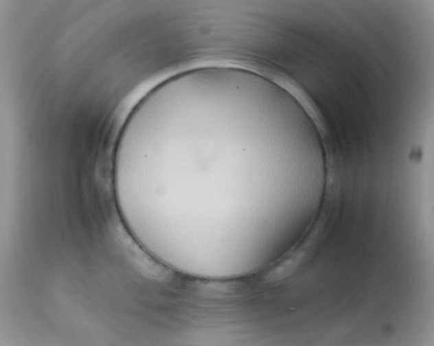 X0000113071004200909182020