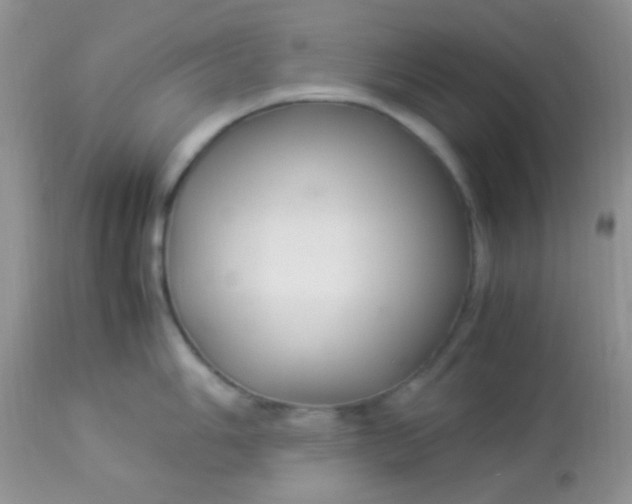 X0000113071006200909182020