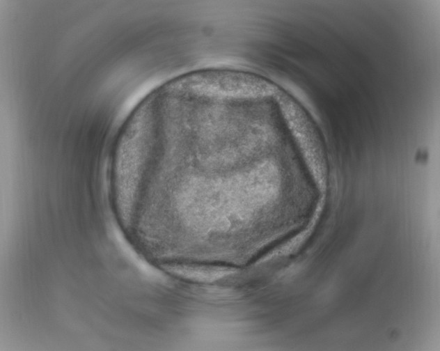 X0000113071007200909182020