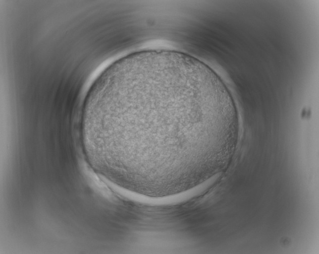 X0000113071008200909182020