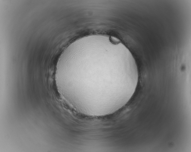 X0000113071010200909182019