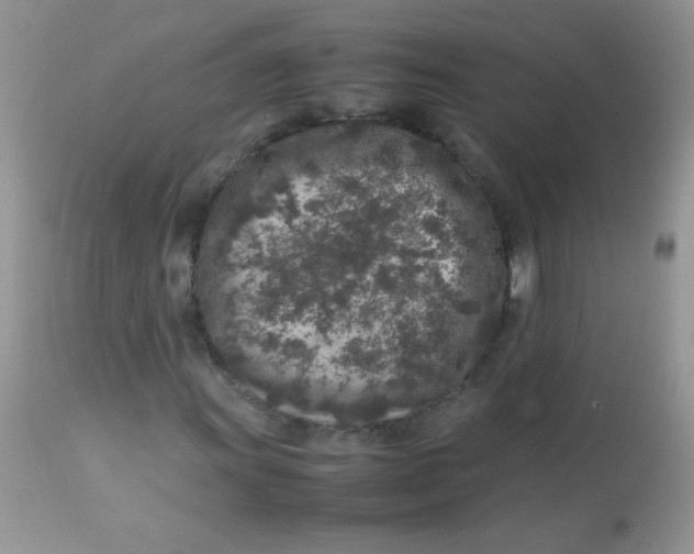 X0000113071011200909182019