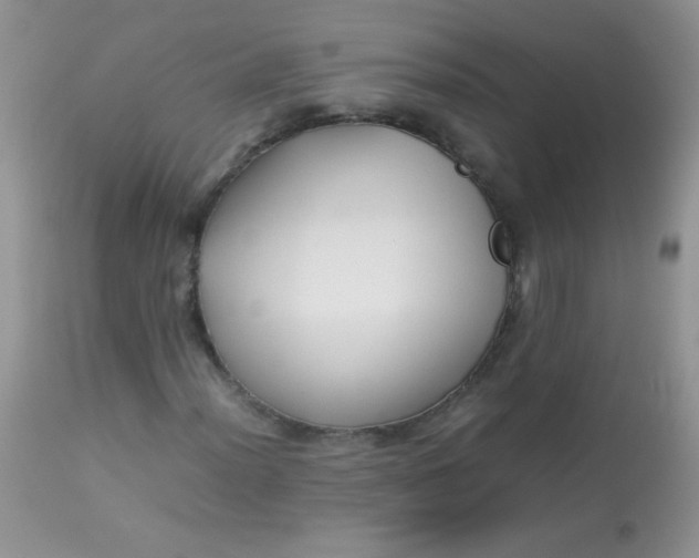 X0000113071012200909182019