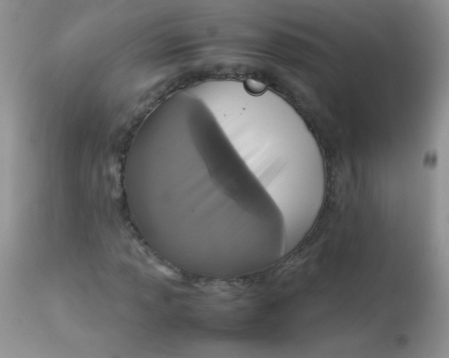 X0000113071013200909182019