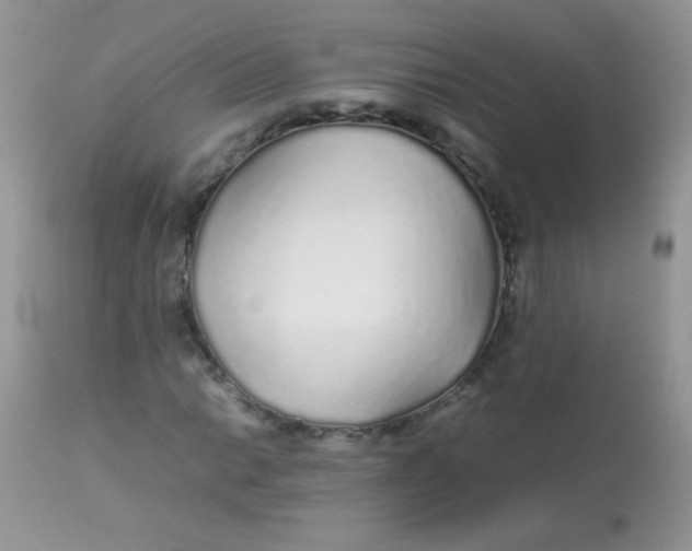 X0000113071014200909182019