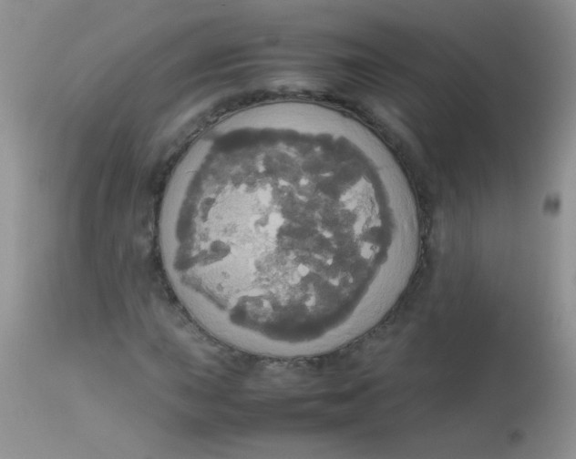 X0000113071015200909182020