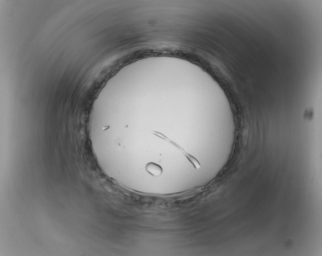 X0000113071016200909182020