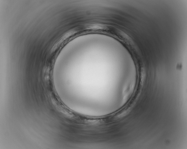 X0000113071017200909182020