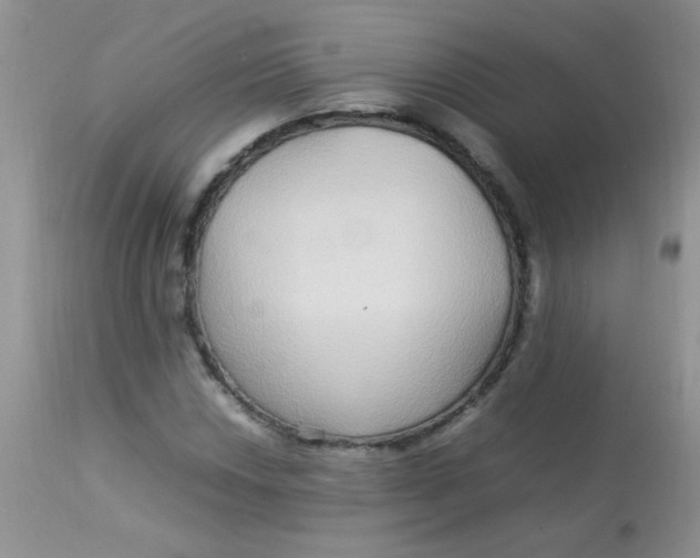 X0000113071018200909182020