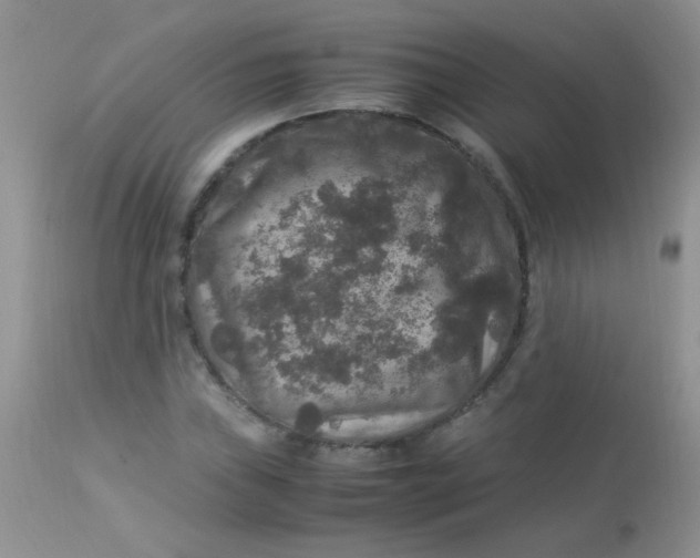 X0000113071019200909182020