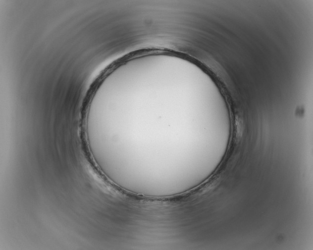 X0000113071020200909182020