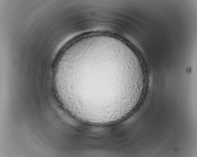 X0000113071021200909182020