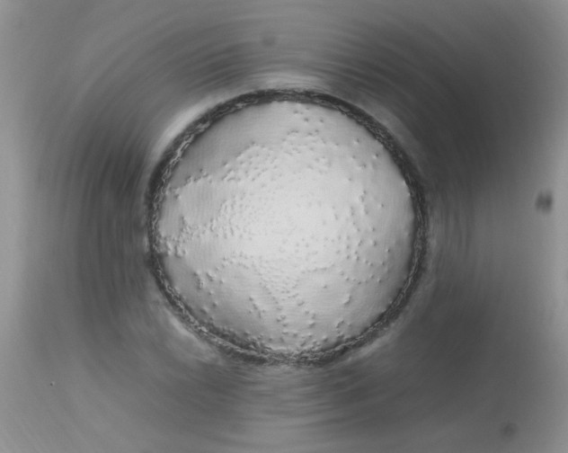 X0000113071022200909182020