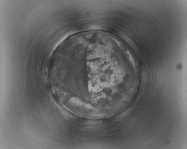 X0000113071023200909182020