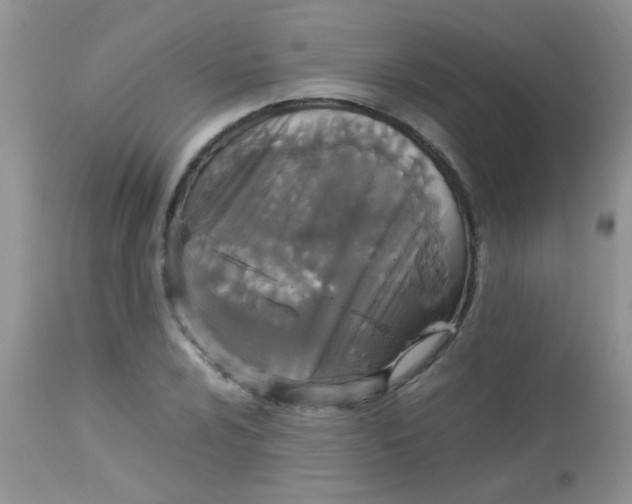 X0000113071024200909182020