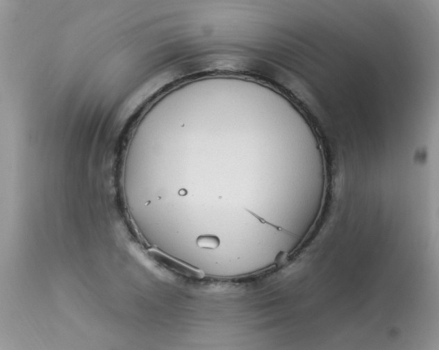 X0000113071026200909182020