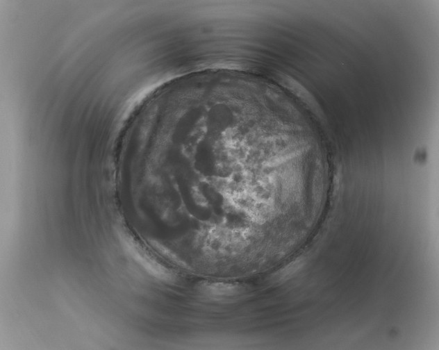 X0000113071027200909182020