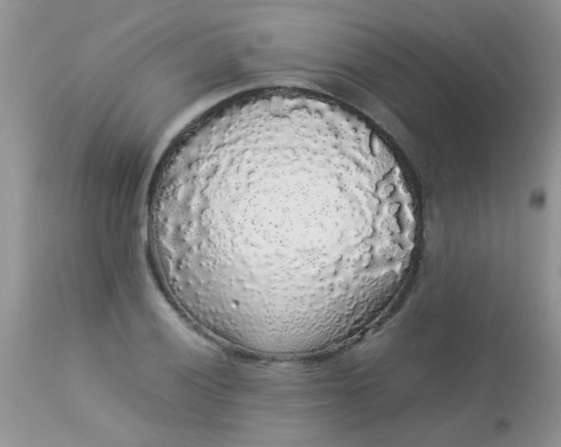 X0000113071028200909182020