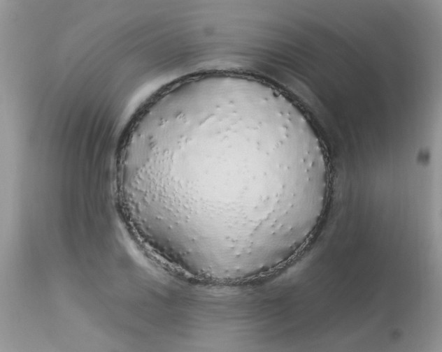 X0000113071030200909182020