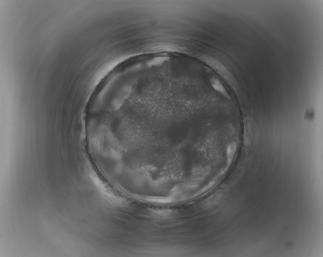 X0000113071031200909182020