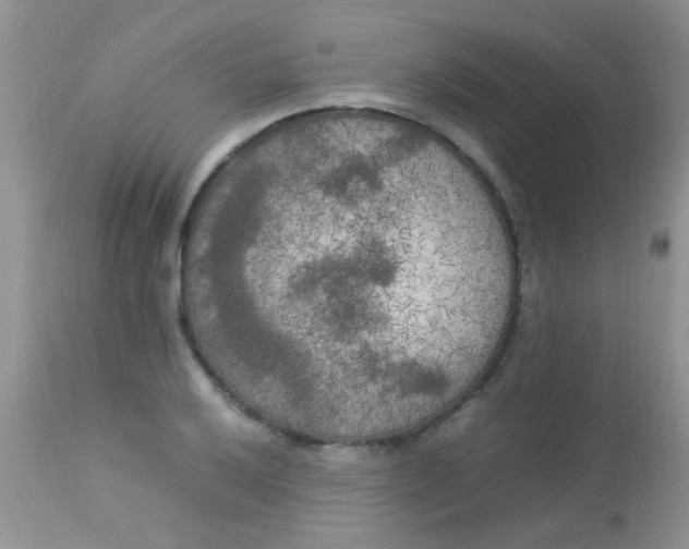 X0000113071032200909182020