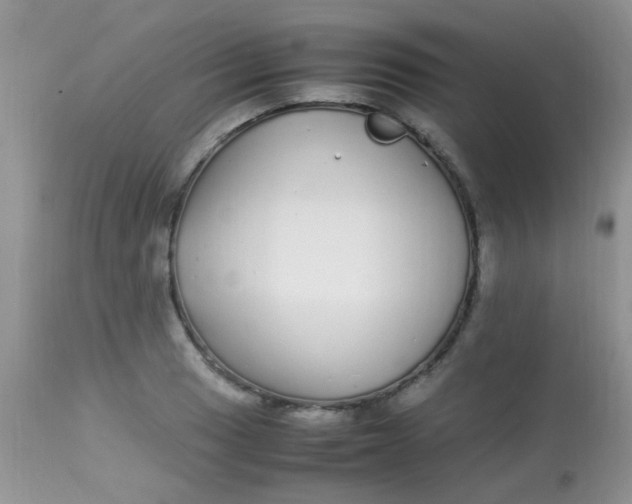 X0000113071033200909182020