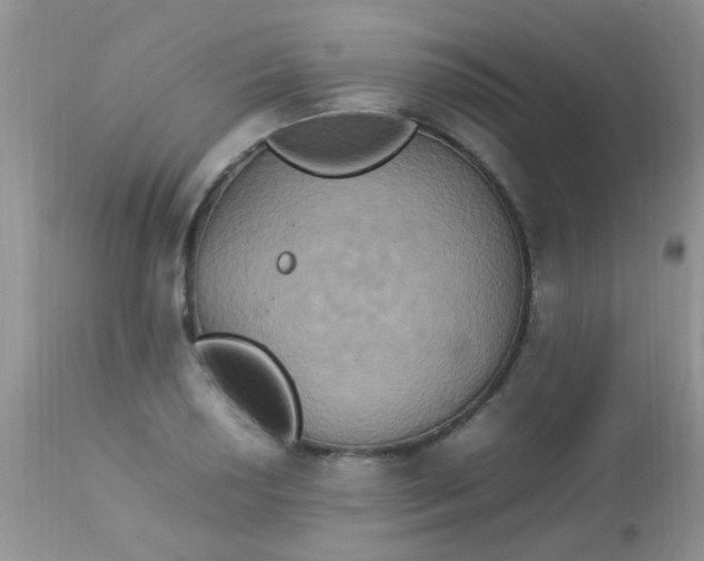 X0000113071034200909182020