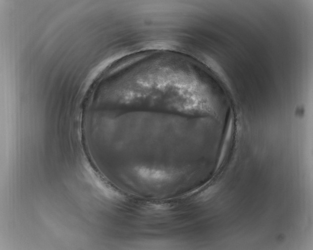 X0000113071035200909182020