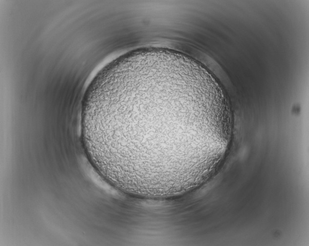 X0000113071036200909182020