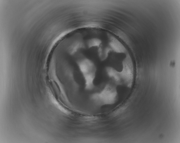 X0000113071037200909182020