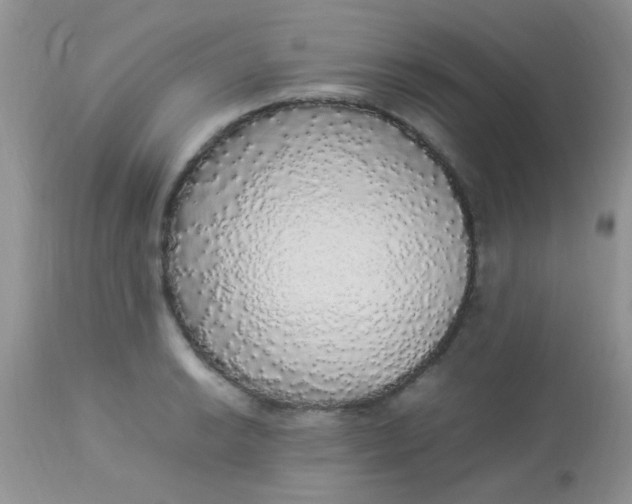 X0000113071038200909182020