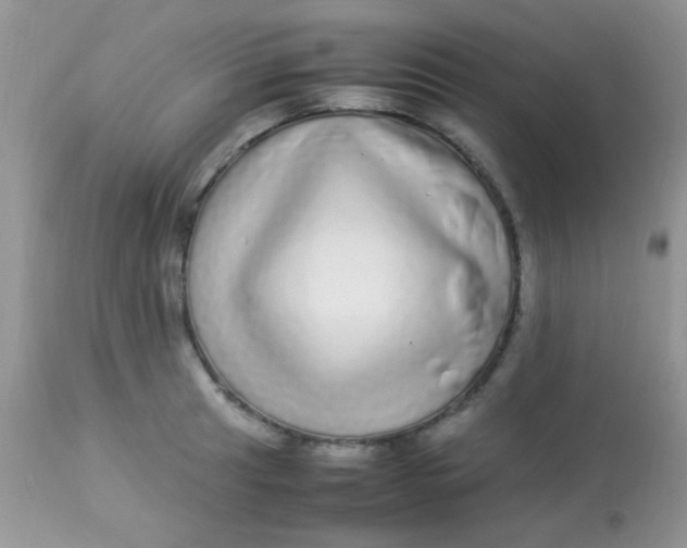 X0000113071041200909182020