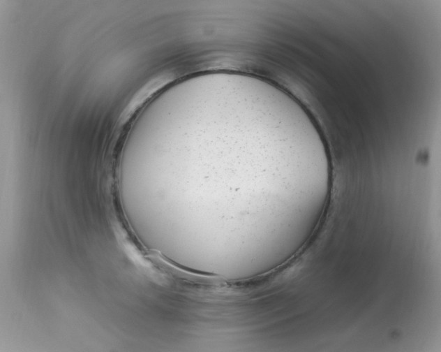 X0000113071042200909182020