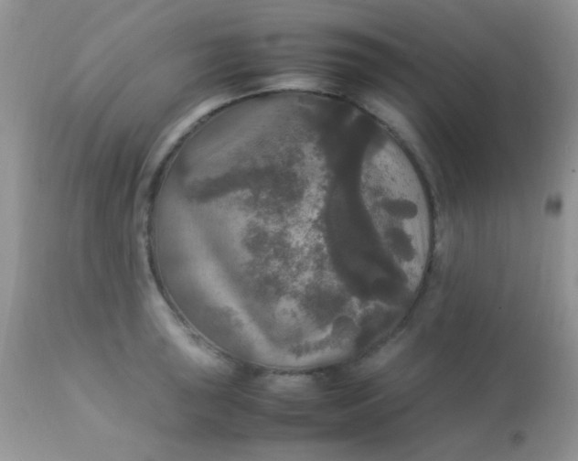 X0000113071043200909182020