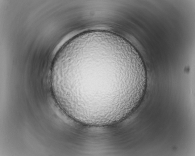 X0000113071044200909182020