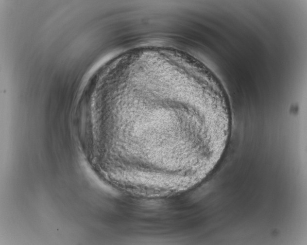 X0000113071045200909182020