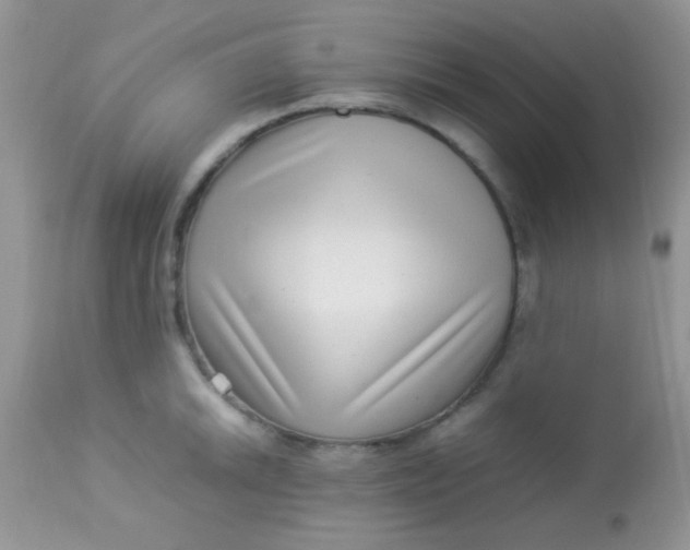 X0000113071046200909182020