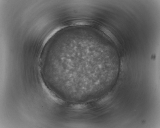 X0000113071047200909182020