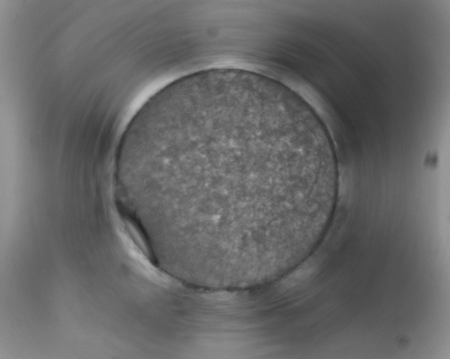 X0000113071048200909182020