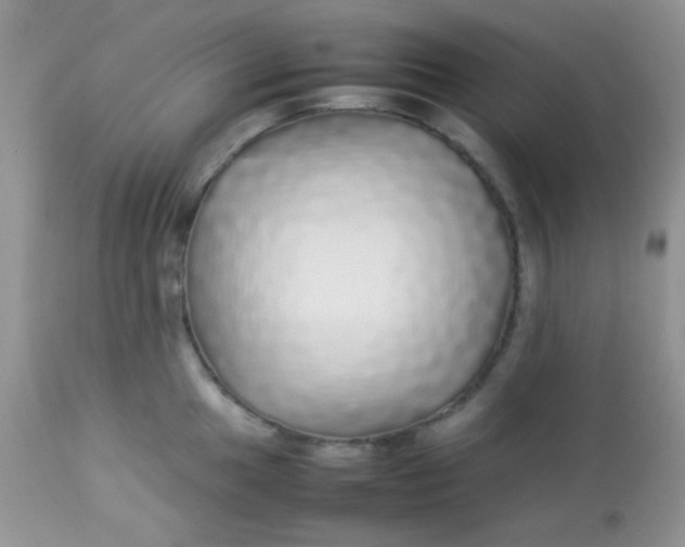 X0000113071049200909182020