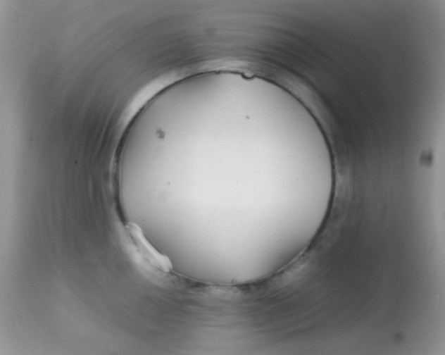 X0000113071050200909182020