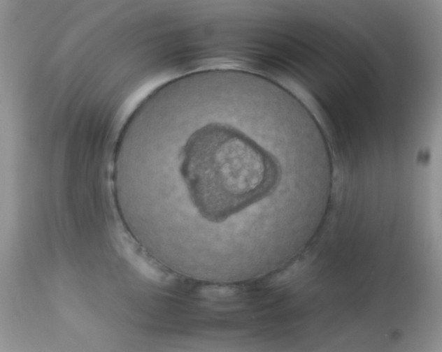 X0000113071051200909182020