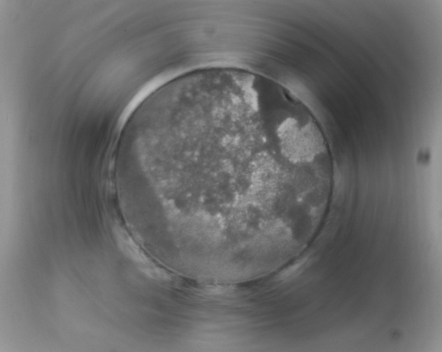 X0000113071052200909182020