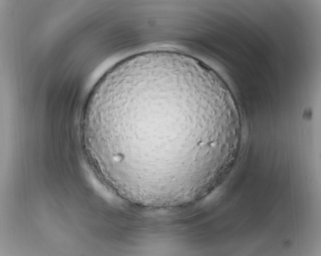 X0000113071054200909182020