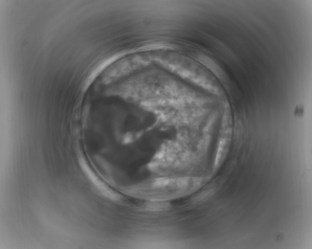 X0000113071055200909182020