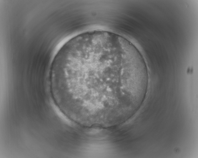 X0000113071056200909182020