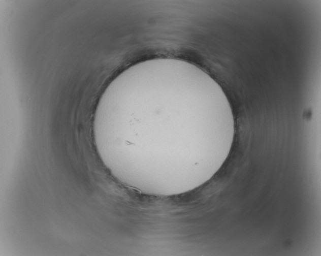 X0000113071057200909182019