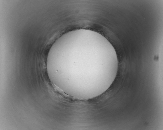 X0000113071058200909182019